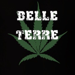 Belle Terre Suffolk County New York State Weed Marijuana T Shirt 5370554