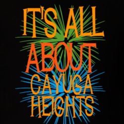 Cayuga Heights Tompkins County New York State Its All About T Shirt 5370564