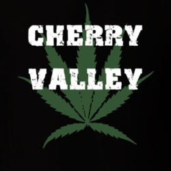 Cherry Valley Otsego County New York State Weed Marijuana T Shirt 5370575