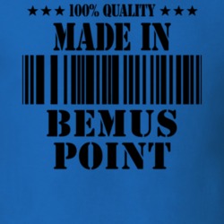 Bemus Point Chautauqua County New York State Made In Born T Shirt 5370622