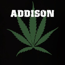 Addison Steuben County New York State Weed Marijuana T Shirt 5370667