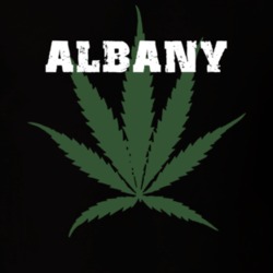 Albany Albany County New York State Weed Marijuana T Shirt 5370692