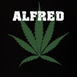 Alfred Allegany County New York State Weed Marijuana T Shirt 5370718