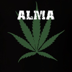 Alma Allegany County New York State Weed Marijuana T Shirt 5370732