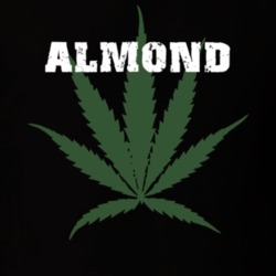 Almond Allegany County New York State Weed Marijuana T Shirt 5370738