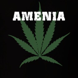 Amenia Dutchess County New York State Weed Marijuana T Shirt 5370773