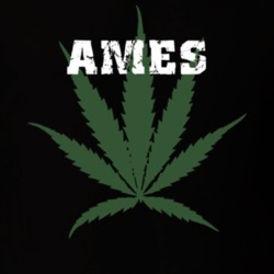 Ames Montgomery County New York State Weed Marijuana T Shirt 5370776