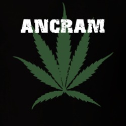 Ancram Columbia County New York State Weed Marijuana T Shirt 5370798