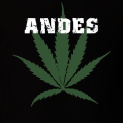 Andes Delaware County New York State Weed Marijuana T Shirt 5370802