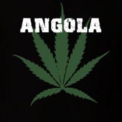 Angola Erie County New York State Weed Marijuana T Shirt 5370815
