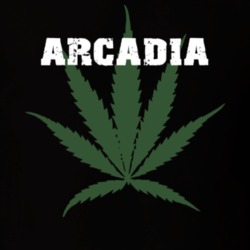 Arcadia Wayne County New York State Weed Marijuana T Shirt 5370835