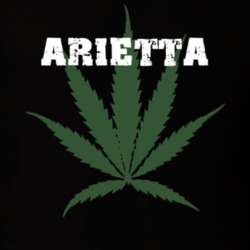 Arietta Hamilton County New York State Weed Marijuana T Shirt 5370854