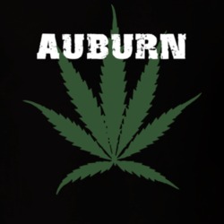 Auburn Cayuga County New York State Weed Marijuana T Shirt 5370900
