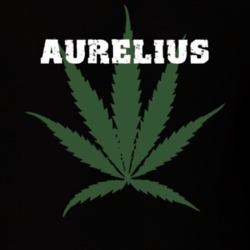 Aurelius Cayuga County New York State Weed Marijuana T Shirt 5370911