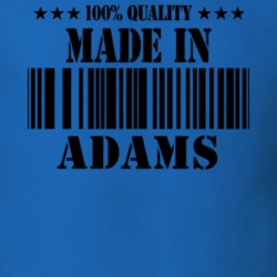 Adams Jefferson County New York State Made In Born T Shirt 5370918