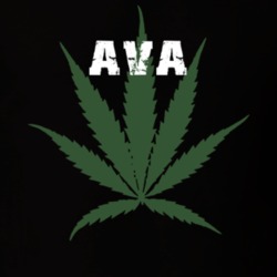 Ava Oneida County New York State Weed Marijuana T Shirt 5370937