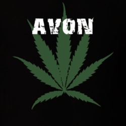 Avon Livingston County New York State Weed Marijuana T Shirt 5370950