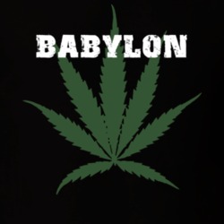 Babylon Suffolk County New York State Weed Marijuana T Shirt 5370955