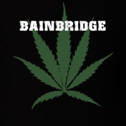 Bainbridge Chenango County New York State Weed Marijuana T Shirt 5370960