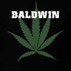 Baldwin Chemung County New York State Weed Marijuana T Shirt 5370965