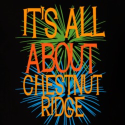 Chestnut Ridge Rockland County New York State Its All About T Shirt 5370968