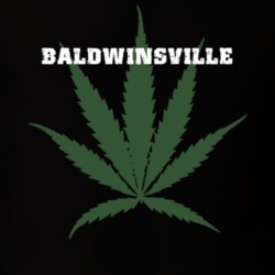 Baldwinsville Onondaga County New York State Weed Marijuana T Shirt 5370970