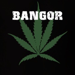 Bangor Franklin County New York State Weed Marijuana T Shirt 5370980