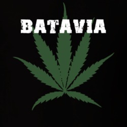 Batavia Genesee County New York State Weed Marijuana T Shirt 5371019
