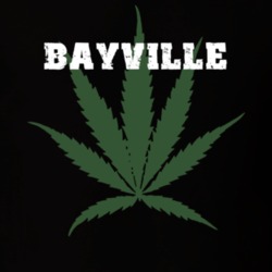Bayville Nassau County New York State Weed Marijuana T Shirt 5371030