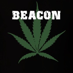 Beacon Dutchess County New York State Weed Marijuana T Shirt 5371035