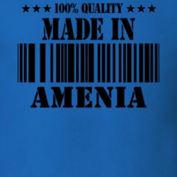 Amenia Dutchess County New York State Made In Born T Shirt 5371056