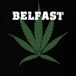 Belfast Allegany County New York State Weed Marijuana T Shirt 5371058