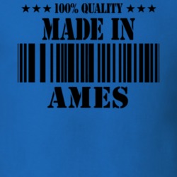 Ames Montgomery County New York State Made In Born T Shirt 5371062