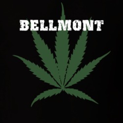 Bellmont Franklin County New York State Weed Marijuana T Shirt 5371071