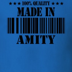 Amity Allegany County New York State Made In Born T Shirt 5371073
