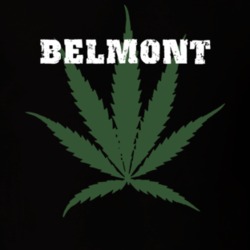 Belmont Allegany County New York State Weed Marijuana T Shirt 5371083