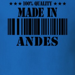 Andes Delaware County New York State Made In Born T Shirt 5371099