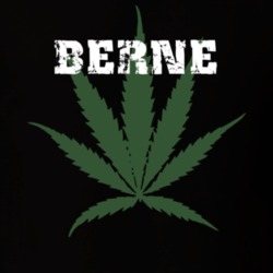 Berne Albany County New York State Weed Marijuana T Shirt 5371128