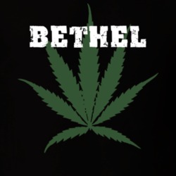 Bethel Sullivan County New York State Weed Marijuana T Shirt 5371138