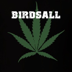 Birdsall Allegany County New York State Weed Marijuana T Shirt 5371156