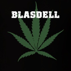 Blasdell Erie County New York State Weed Marijuana T Shirt 5371160