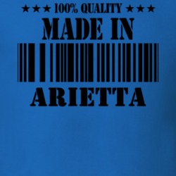 Arietta Hamilton County New York State Made In Born T Shirt 5371161