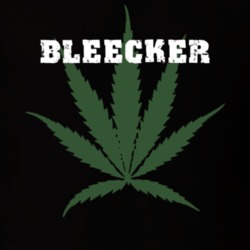 Bleecker Fulton County New York State Weed Marijuana T Shirt 5371168