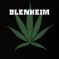 Blenheim Schoharie County New York State Weed Marijuana T Shirt 5371174