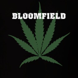 Bloomfield Ontario County New York State Weed Marijuana T Shirt 5371179