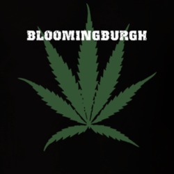 Bloomingburgh Sullivan County New York State Weed Marijuana T Shirt 5371183