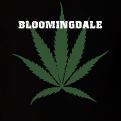 Bloomingdale Essex County New York State Weed Marijuana T Shirt 5371189