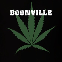 Boonville Oneida County New York State Weed Marijuana T Shirt 5371210