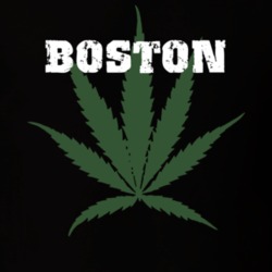 Boston Erie County New York State Weed Marijuana T Shirt 5371215