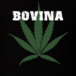 Bovina Delaware County New York State Weed Marijuana T Shirt 5371221